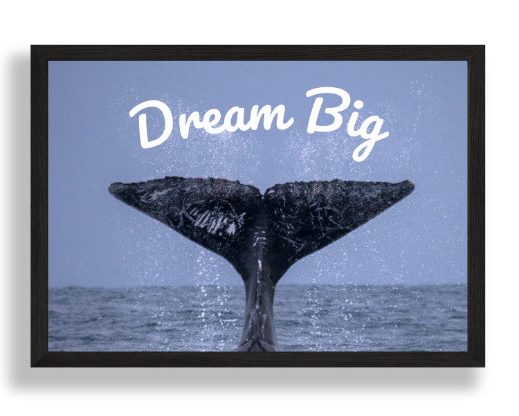 Постер в рамке Dream Big Артикул: POS0006A4BL
