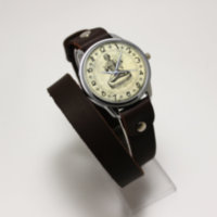 Мужские часы ArtStore Visnu VSH15063BR
